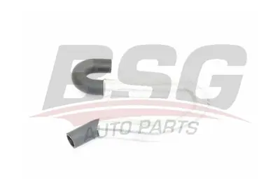 BSG 30-720-232 Kalorıfer Hortumu 1494998 7T168A567CA