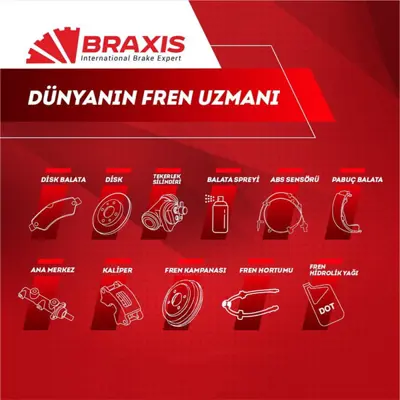 BRAXIS AE0163 Arka Fren Dısk Aynası Toyota Prıus Yarıs Verso Corolla 4243102050