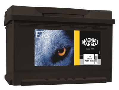 MAGNETI MARELLI 55176576 Aku 75 Ah 700 A Ford Tipi  75 Amper 55176576