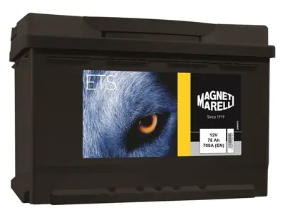 MAGNETI MARELLI 55176576 Aku 75 Ah 700 A Ford Tipi  75 Amper 55176576