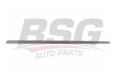 BSG 90-924-026 Kapı Bandı Ön Sağ 1K4853516B9B9 1K4853516B