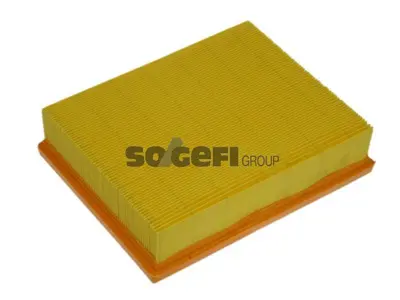 PURFLUX A1213 Hava Filitresi A-Class W169 04>12 B-Class W245 05>11 A2660940004 2660940004 1378079J80 1378079J80000 71750588 A1698300118 1698300118 A2661840325 A2661800009 2661840325