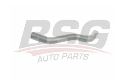 BSG 25-720-036 Radyatör Hortumu Üst 46792194 46828816