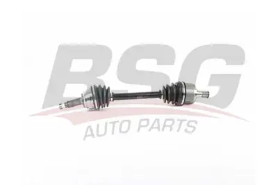 BSG 40-350-005 Aks Komple Ön Sol 4950025400 4950025200 4950025300 4950025310 495051CB00 4950025210 4950525A00 4950025200S 4950025311S 4950025500S