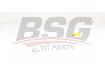 BSG 30-123-004 Motor Yag Çubugu 1201630 YC1Q6750AE