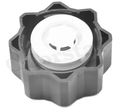 CALORSTAT by Vernet RC0021 Radyator Kapağı P107 P206 P207 P307 P407 Partner Tepeee C2 C3 C4 Berlıngo Iıı Partner Berlıngo P306  