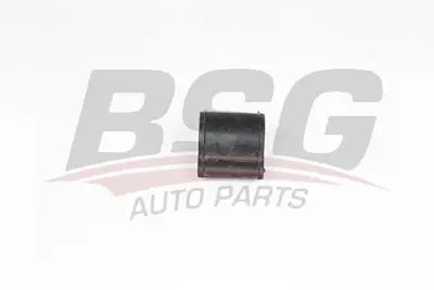 BSG 70-700-119 Vıraj Demır Lastiği 509497 5094A9 508745 508759 508766 96288787 9628878780 508774
