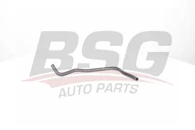 BSG 30-720-239 Radyatör Yedek Su Depo Hortumu 7T168K276AA 1451531 2T148K276AB 2T148K276AC 4371775 4378820