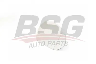 BSG 90-910-031 Ayna Camı Sağ 4G0857528BGRU 4G0857536B 4G1857410AE 4G5949102B 4G5949102A 4G1857410BB01C 4G1857410N01C 4G0857528GRU 4G1857410N 4G1949146