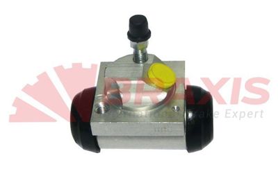 BRAXIS AJ2117 Fren Sılındırı Sol Arka Dacıa Duster 10>  22.2mm 441008001R