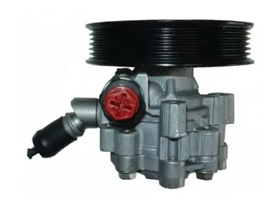 EPS 356B Dıreksıyon Pompası Insıgnıa A 09>17 A20dtc 13309339 948107 948230 13273784 13309336 55563329 13258059 133609339 1000004