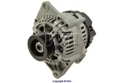 WAI 21400N Alternator 12v 75a Valeo Tıp Renault Kangoo 1,9d (97 08) Dcı (00 08) Clıo Iı 1,9d (00 01) Megane I 1 7711134267 7700436671 8200193100 7700105539 8111921 A0091545902 12312246070 12311727576 12311432978 58903016E