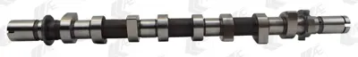 GEMSAFT RTMF01 Eksantrık Mılı Kangoo Clıo Megane Iı Fluence 105 110hp Clıo Iv Lodgy Dokker Sandero Iı Logan Iı 1,5d 8200978873 1300100Q0T 8200679572 A6070500000 6070500000 8201033581 8201004849