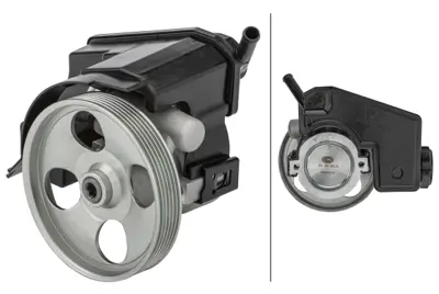 HELLA 8TL359000-621 Dıreksıyon Pompası P206 Depolu (Tu3jp)1,4 8v Tu5jp (1,6 8v) Xsara Pıcasso Ew7j4 / Ew10j4 (1,8 16v /  9636426280 4007LF 4007LJ 4007KX 9636271680 4007V5 9632252880 9631411580 9662128380 9686525080