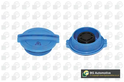 BGA CC3009 Yedek Su Depo Kapağı T5-Cdy3-Crf 