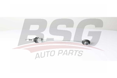 BSG 15-310-200 Vıraj Askı Rotu Ön RBM500190 LR014145 RBM500110 RBM500180 RBM500100 LR010672 QJB500080 LR014133 LR051615 LR014132