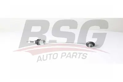 BSG 15-310-200 Vıraj Askı Rotu Ön RBM500190 LR014145 RBM500110 RBM500180 RBM500100 LR010672 QJB500080 LR014133 LR051615 LR014132