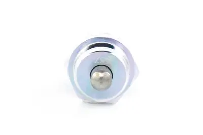 BOSCH 0 343 102 011 Yedek-Lamba Şalteri 5000363387