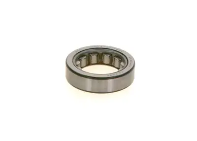 BOSCH 1 900 910 113 Rulman 