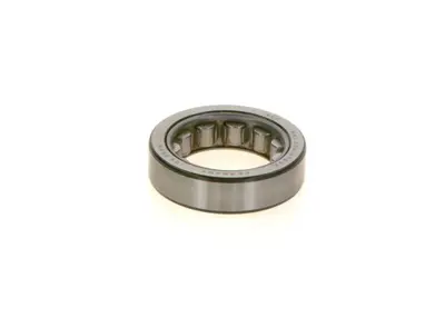 BOSCH 1 900 910 113 Rulman 