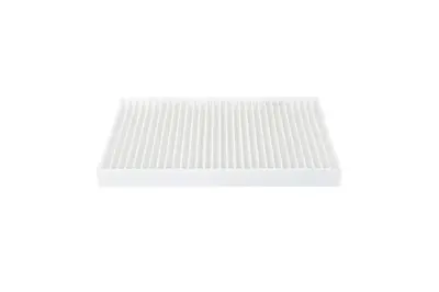 BOSCH 1 987 435 075 Polen Filtresi Koleos 2.5-2.0 Dcı 08 27891JY15A