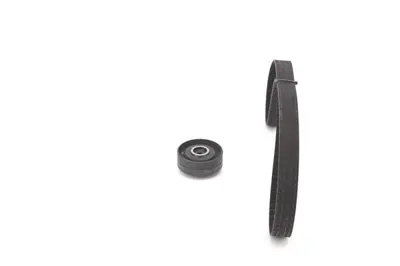 BOSCH 1 987 948 571 Standart Trıger Setı 