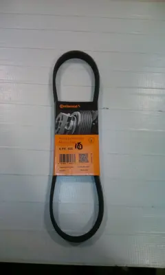 CONTINENTAL CONTITECH 6PK800 V Kayışı 1,6 75/Blue Hdi Berlingo 31251775 5750ZF 5750E7 5750FS 5750FT 5750YP 5750TZ 5750J0 96154391 11287795036