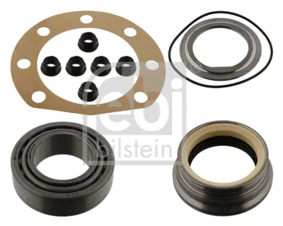 FEBI BILSTEIN 01063 Porya Rulmanı Arka A6013500468
