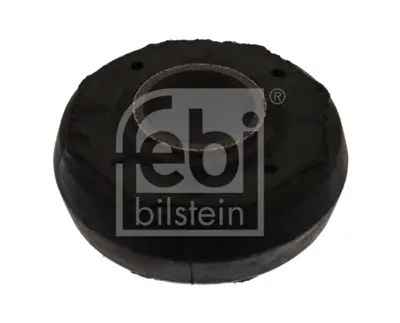 FEBI BILSTEIN 06170 Rotıllı Kol Izalatörü 6135185