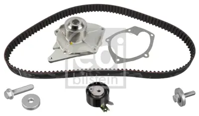 FEBI BILSTEIN 173039 Eksantrık Gergı Kıtı (Devırdaımlı ,123x270) N.Qashqaı Juke Mıcra Note R.Clıo Megane Fluence Kango Sc 1276184A50S4 1680600QBES4 8200537033S4