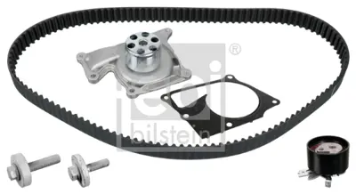 FEBI BILSTEIN 173163 Devırdaımlı Eksantrık Gergı Kıtı (123×270) Clıo Megane Fluence Kango Scenıc Tvng Logan 1.5 Dcı (K9k) 8200537033