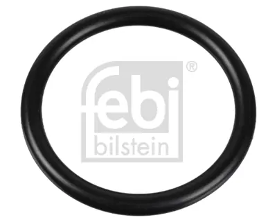 FEBI BILSTEIN 174322 Termostat Çevre Lastıgı A0249976345