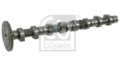FEBI BILSTEIN 21669 Eksantrık Mılı A6110502201