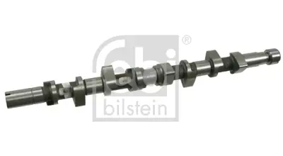FEBI BILSTEIN 21987 F8q Eksantrık Mılı Renault Clıo Iı Kangoo Megane I Scenıc Trafıc 1.9d 8200886875