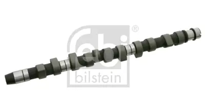 FEBI BILSTEIN 24820 Vag Eksantrık Mılı 74109101A