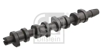 FEBI BILSTEIN 33193 Vag Eksantrık Mılı 38109101AF