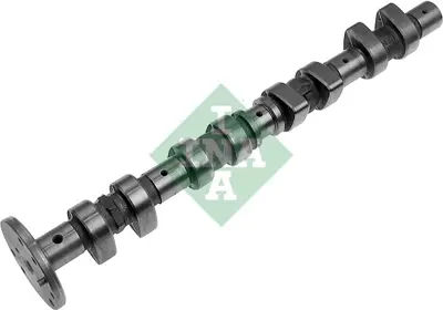 INA 428 0026 10 Eksantrık Mılı A1110502101