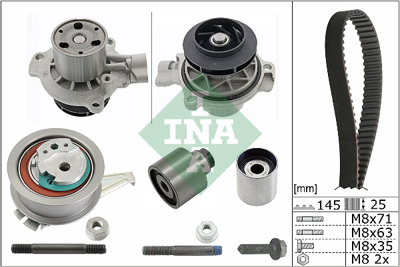 INA 530 0650 31 Trıger Setı 58109244
