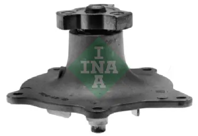 INA 538 0674 10 Su Pompası 