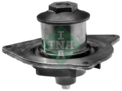 INA 538 0678 10 Su Pompası 