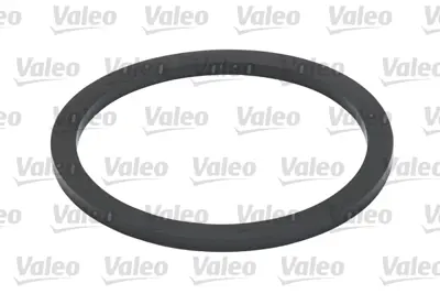 VALEO 587916 Yakıt Fıltresı 7701206119