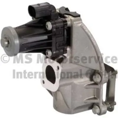 PIERBURG 7.04739.09.0 Egr Valfı 