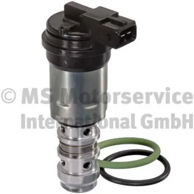 PIERBURG 7.06117.00.0 Fkm/Fpm Control Valve Bmw 7560462