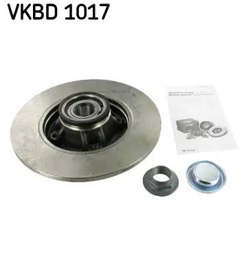 SKF VKBD 1017 Arka Fren Aynası C4-308 07 Ds4 11 249x9x4dl Poryalı 424966
