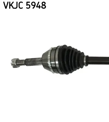 SKF VKJC 5948 Aks Komple Ön Sag RMCC113B436B1B