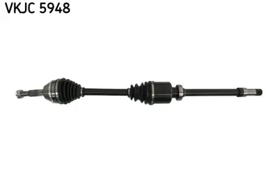 SKF VKJC 5948 Aks Komple Ön Sag RMCC113B436B1B