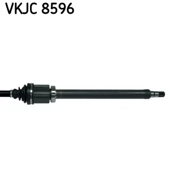 SKF VKJC 8596 Aks Komple Ön Sag 8603820