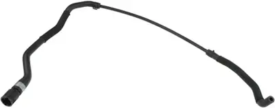 RAPRO R19544 Hortum 17127565094