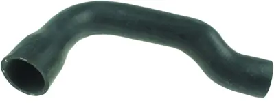 RAPRO R28242 Radyator Alt Hortumu Mercedes-Benz W202 C230 A2025014382