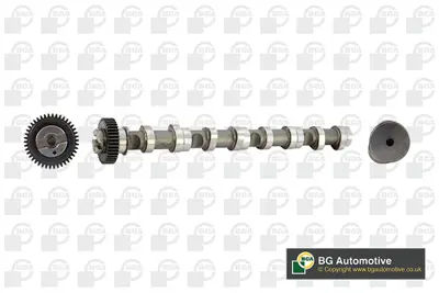 BGA CS9611 Eksantrik Mili A1 Amarok 3L109021E